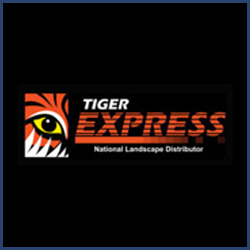 tiger-express